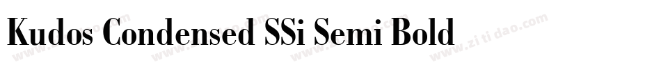 Kudos Condensed SSi Semi Bold Condensed Italic字体转换